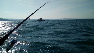 Foto di una canna da pesca nel Golfo di Trieste, foto rappresentativa dell'articolo che rappresenta una guida alla lenza